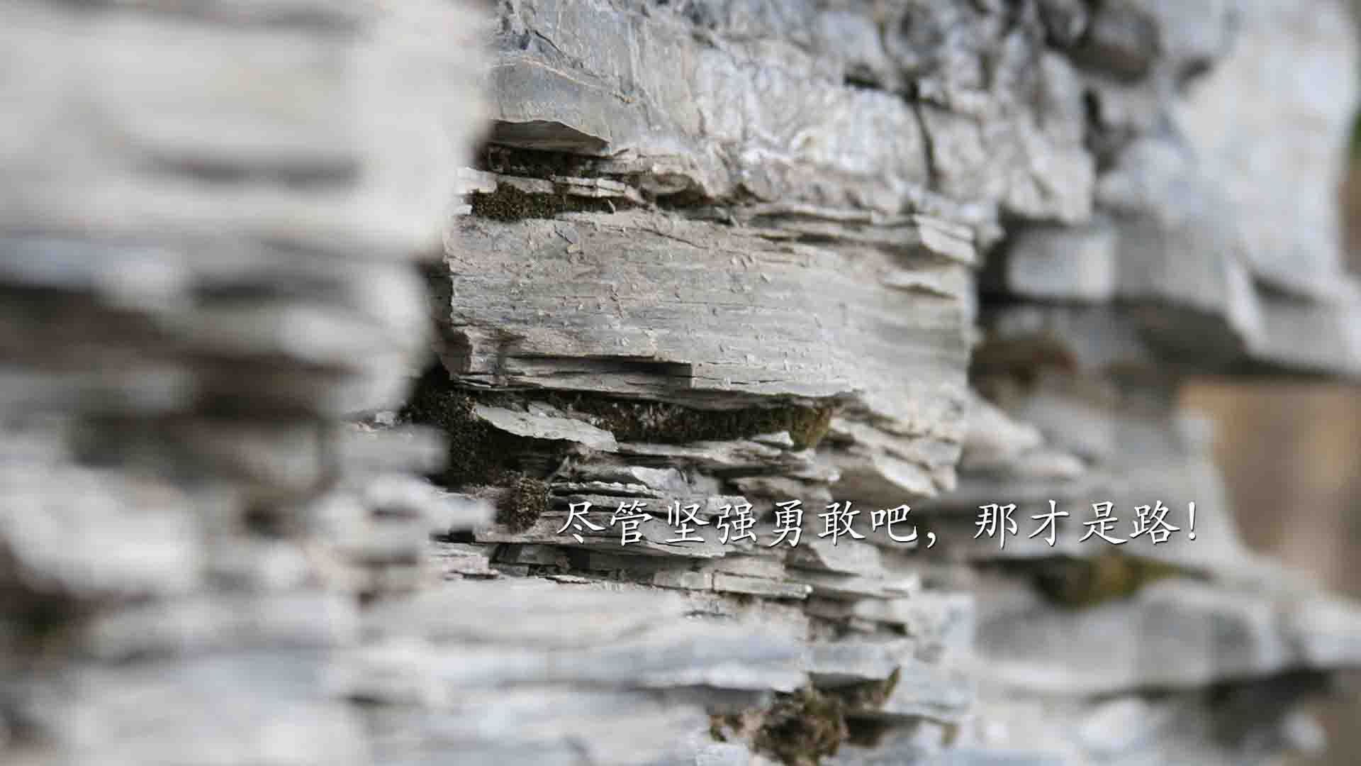 NBA经典对决赛季精选,nba对阵表nba总决赛赛程表