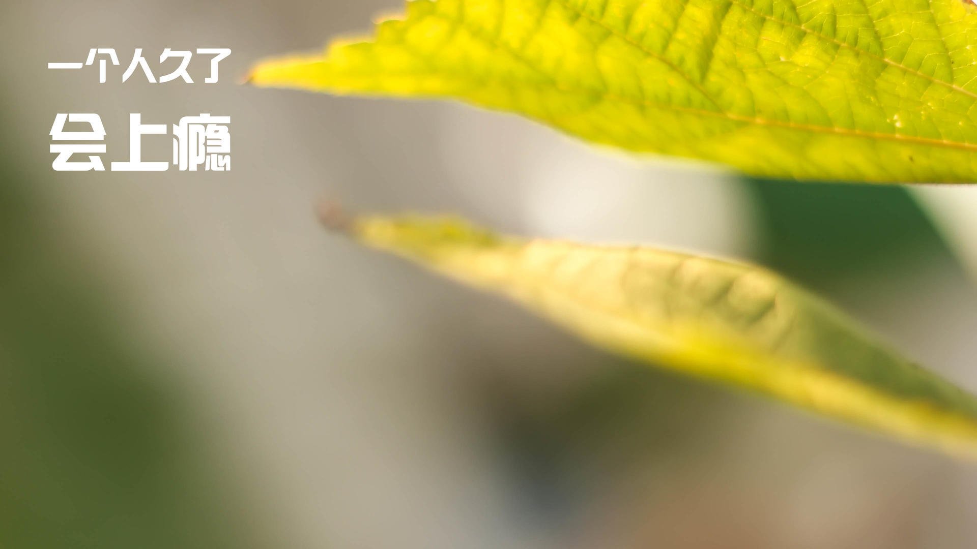 德甲球队通过脑电反馈技术提高专注力水平,脑电反馈训练有效果吗