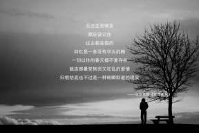 C罗加冕欧洲杯历史射手王,c罗加冕欧洲杯历史射手王是谁