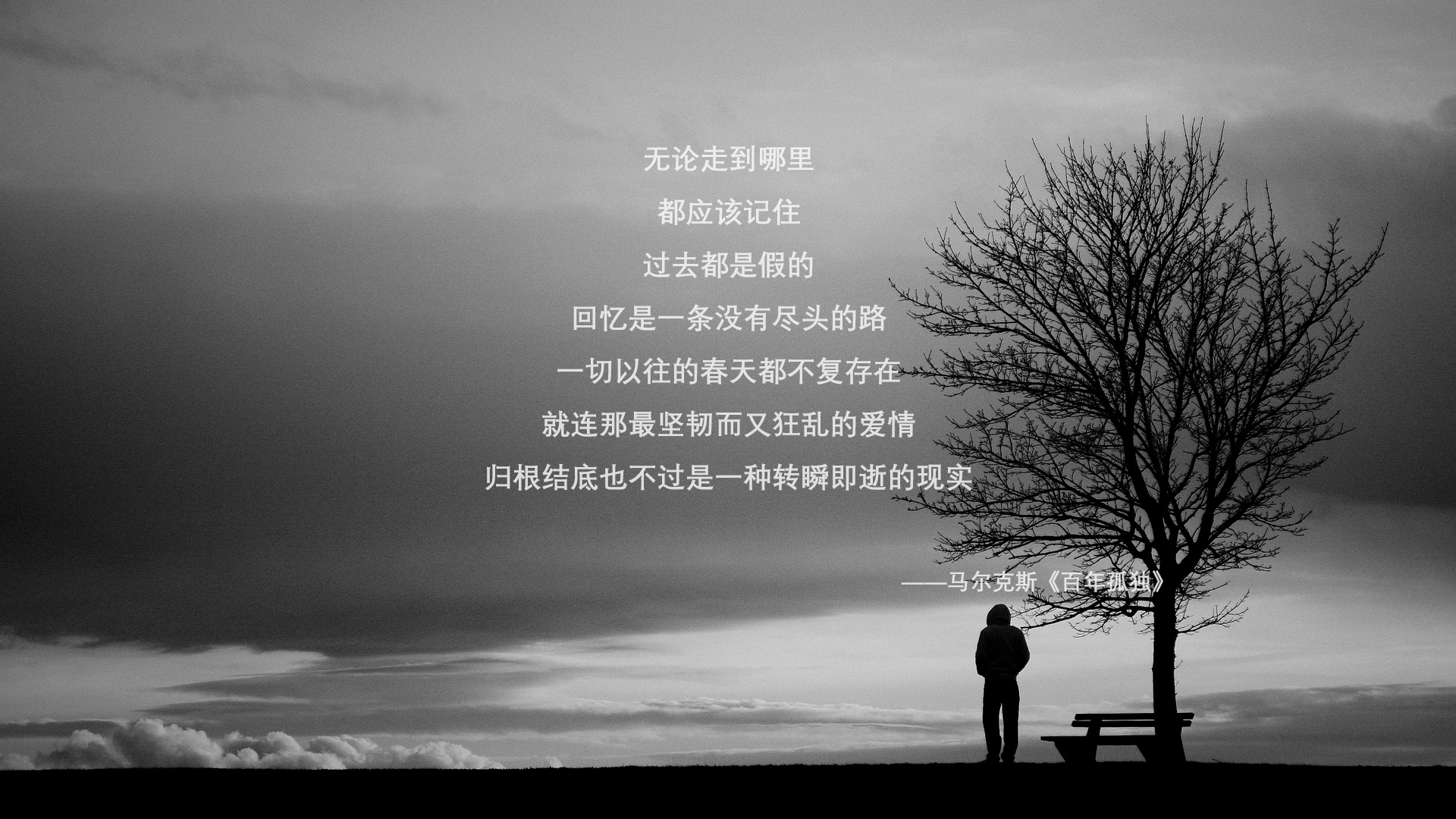 C罗加冕欧洲杯历史射手王,c罗加冕欧洲杯历史射手王是谁