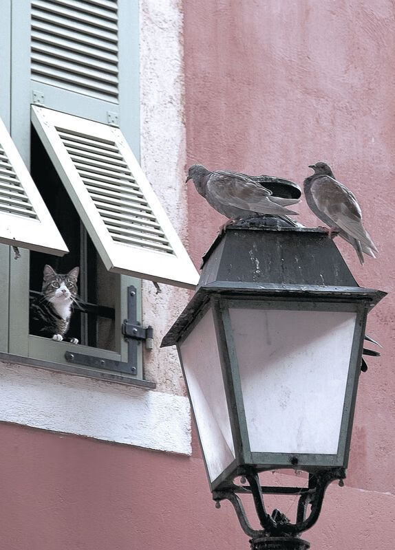 NBA历史最具影响力球员盘点,nba影响力前十