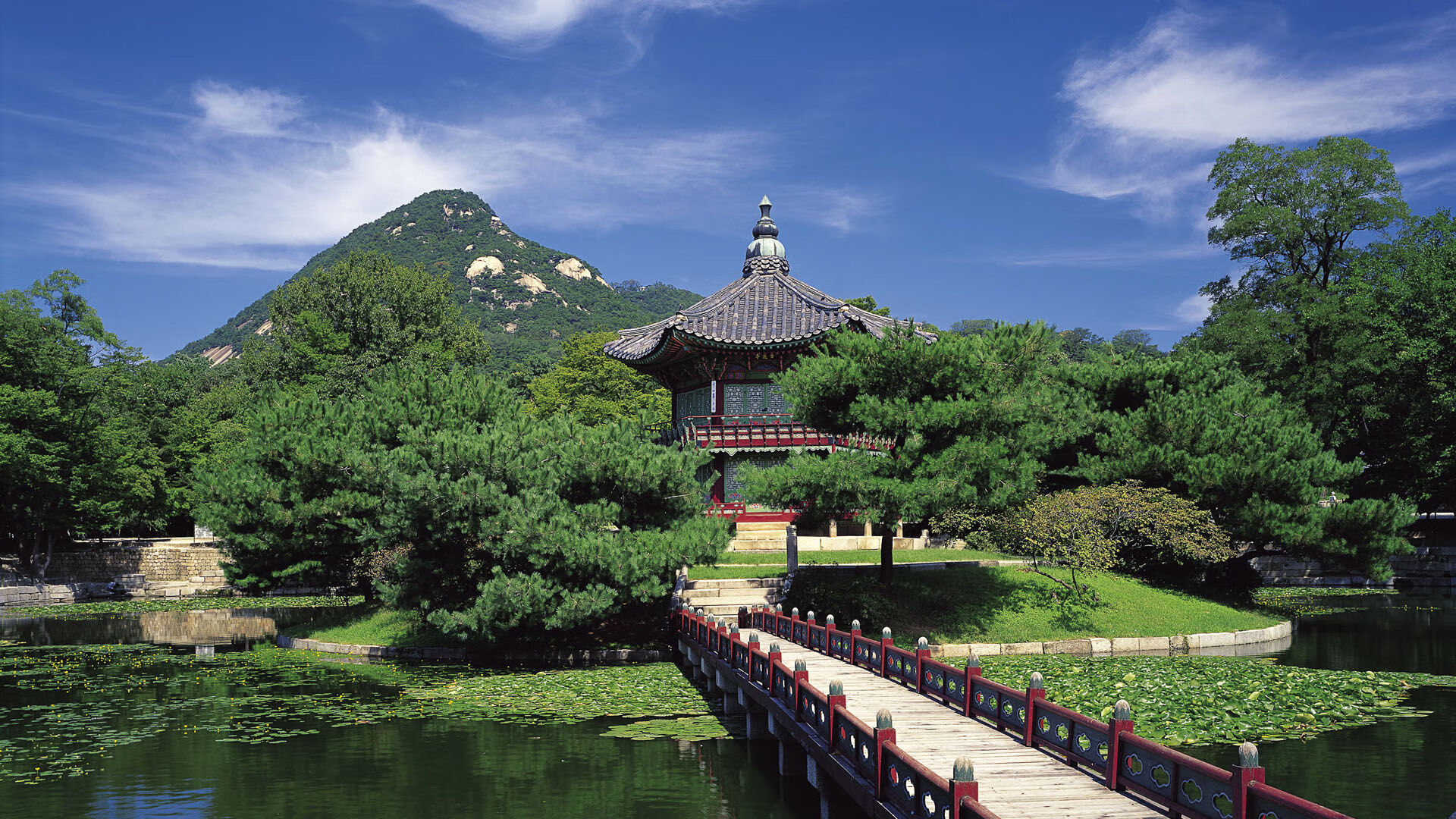 体育活动组织管理规范,体育活动组织管理规范内容